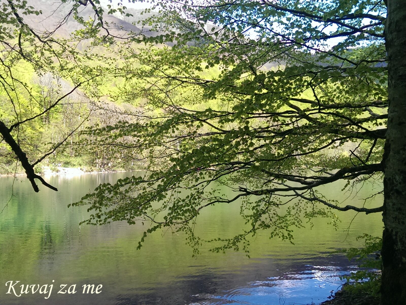 Biogradsko jezero