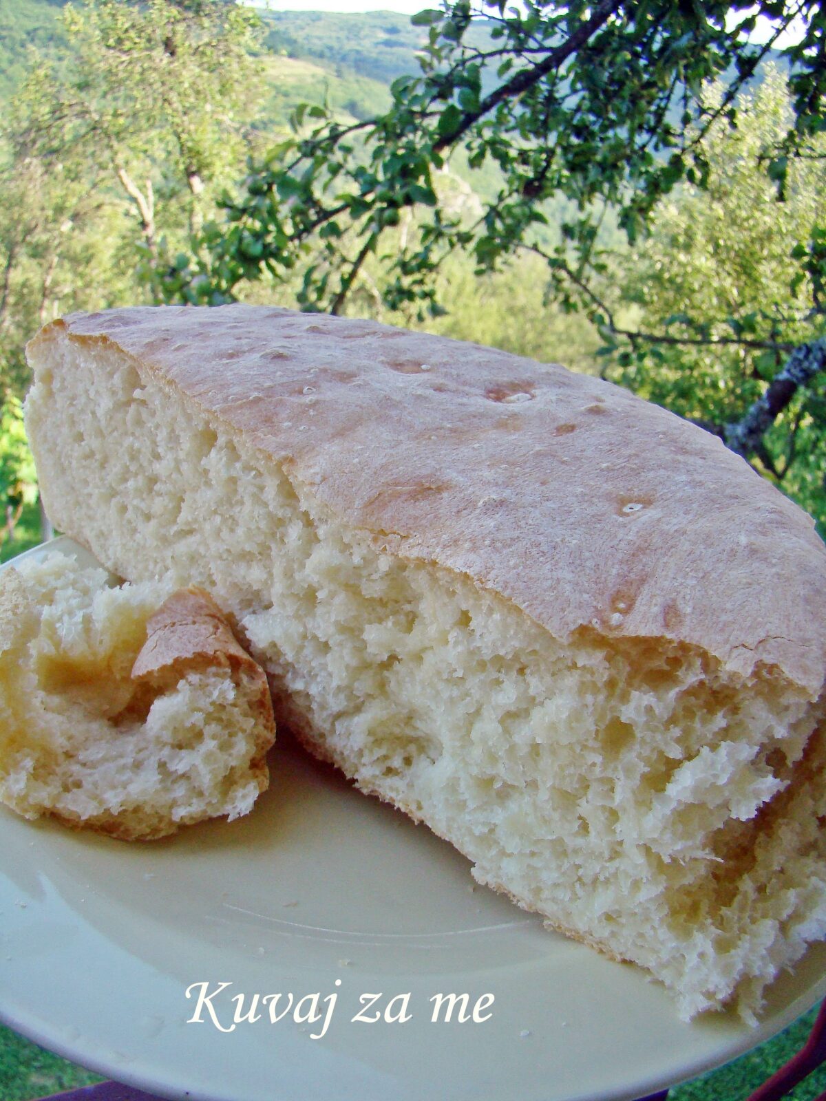 Domaći hljeb (2)