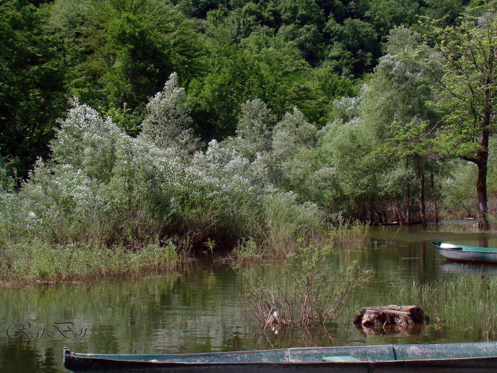 Skadarsko jezero