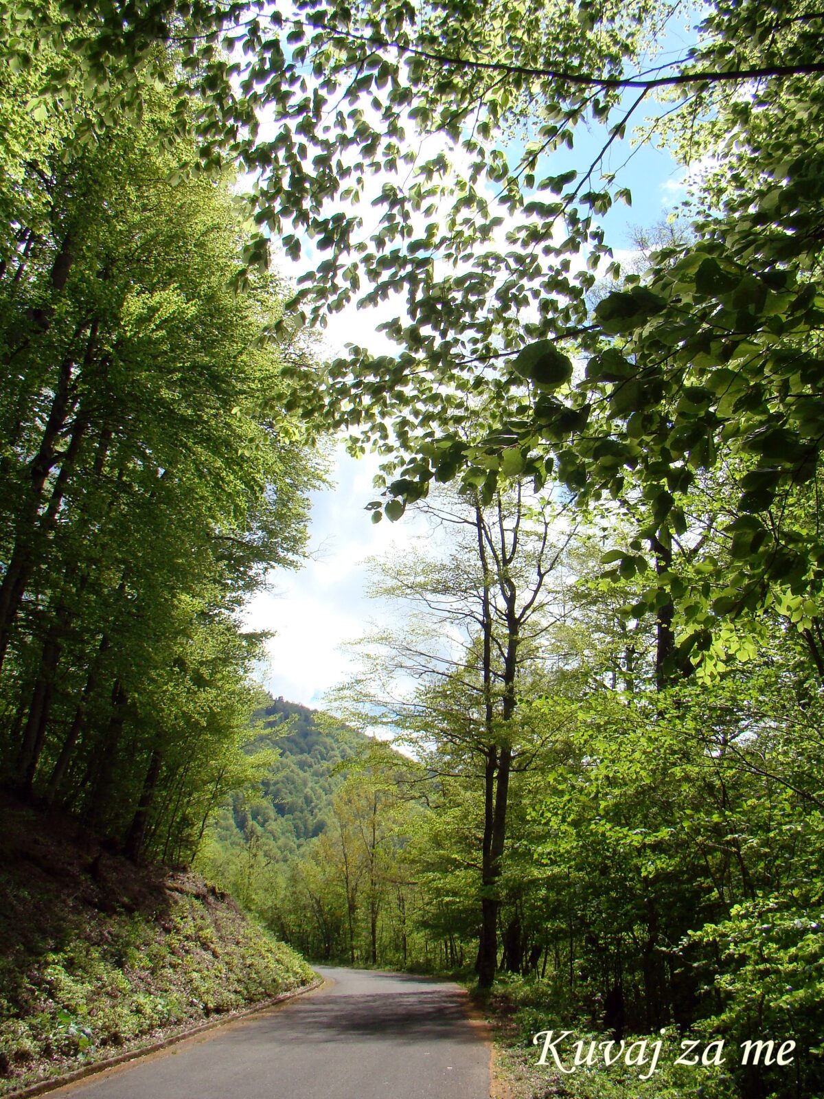 Biogradsko jezero