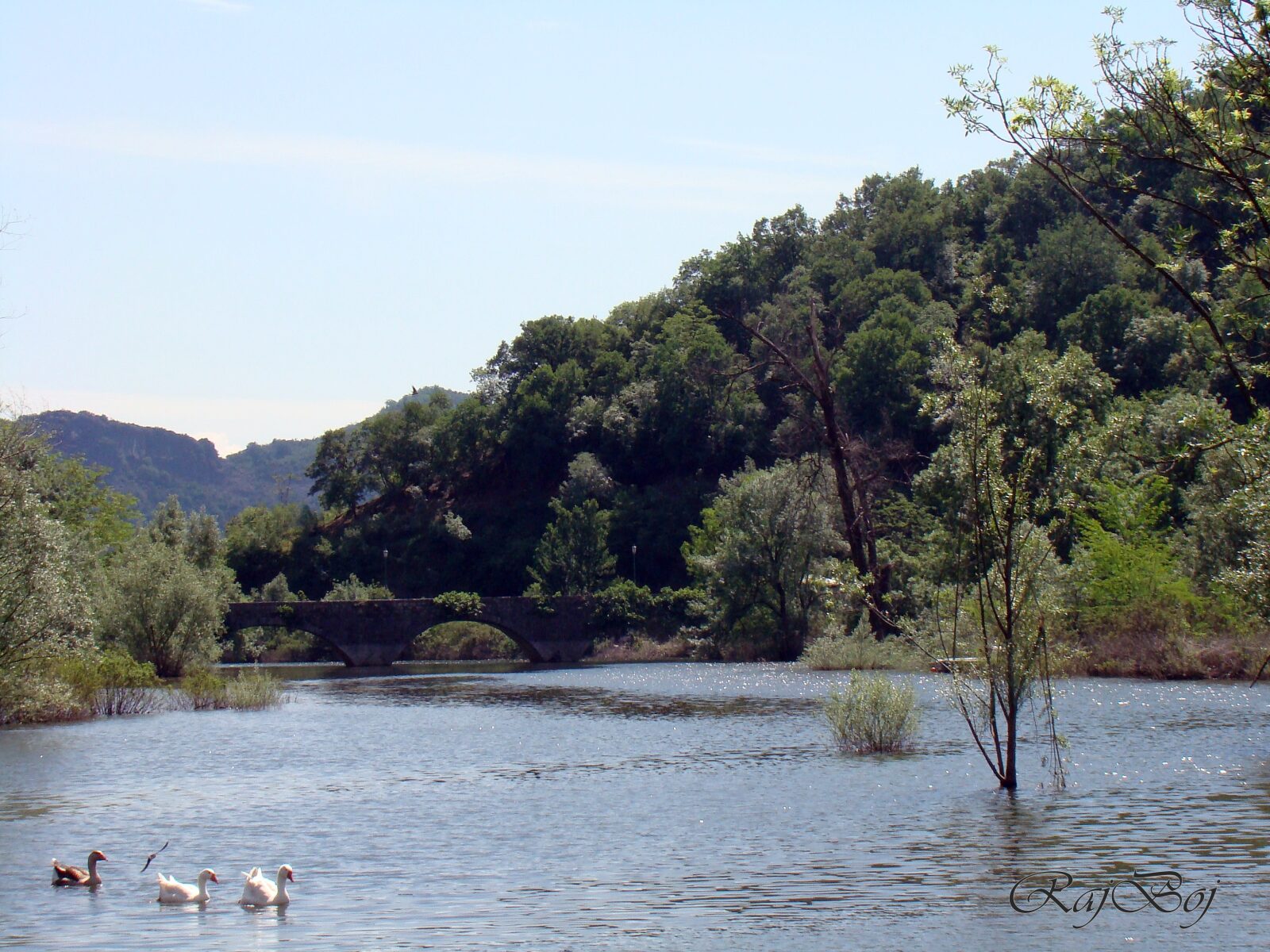 Skadarsko jezero
