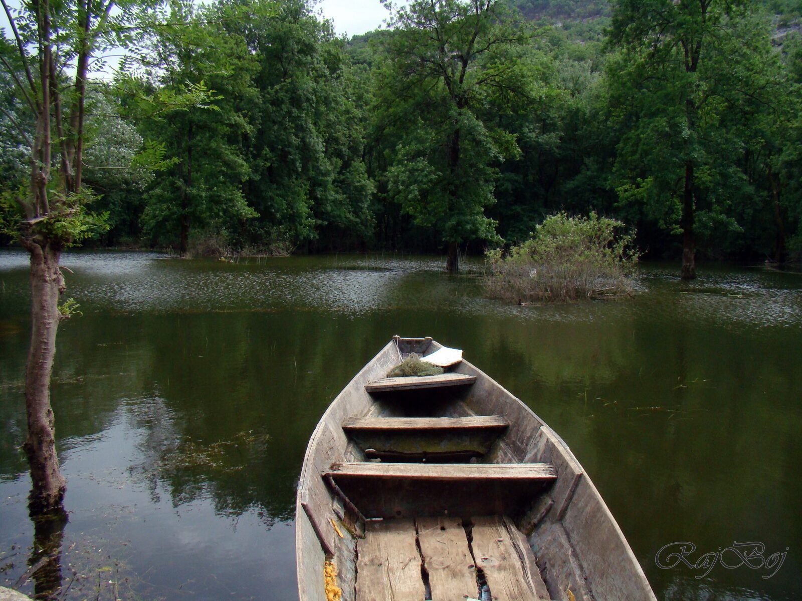 Skadarsko jezero