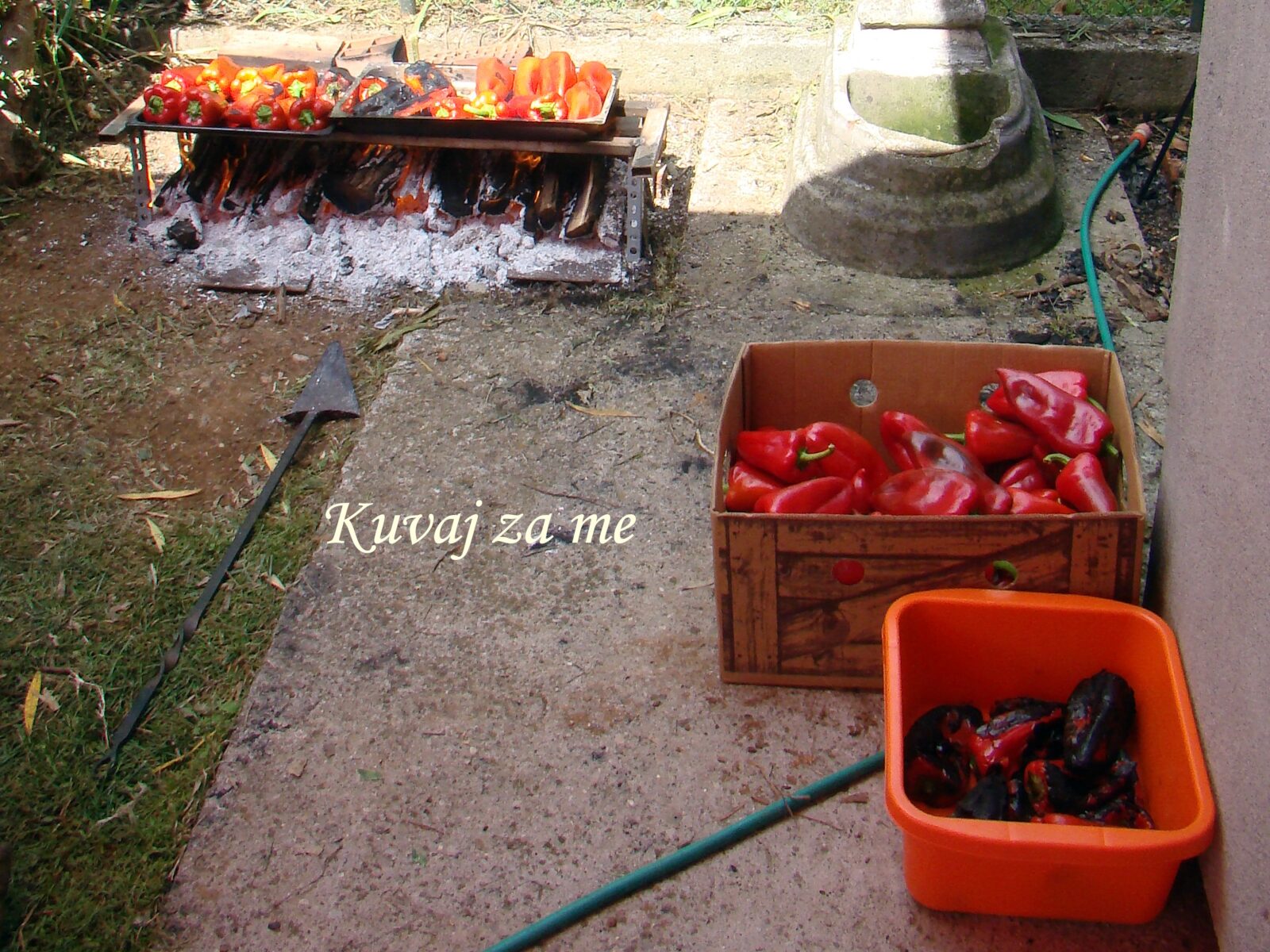 Pečene crvene paprike