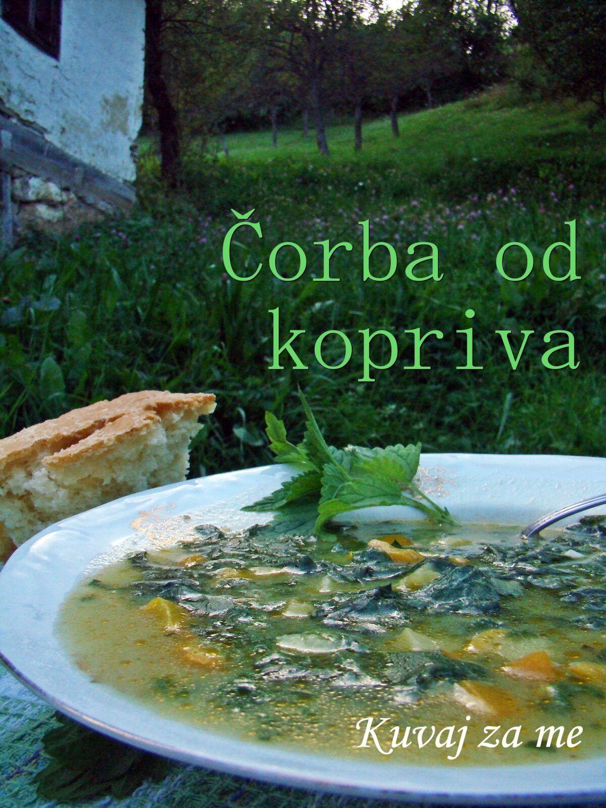 Čorba od kopriva
