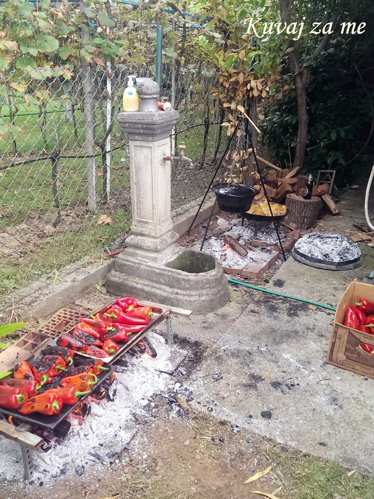 Pečene crvene paprike