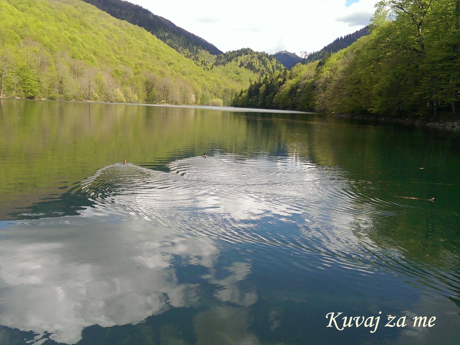 Biogradsko jezero