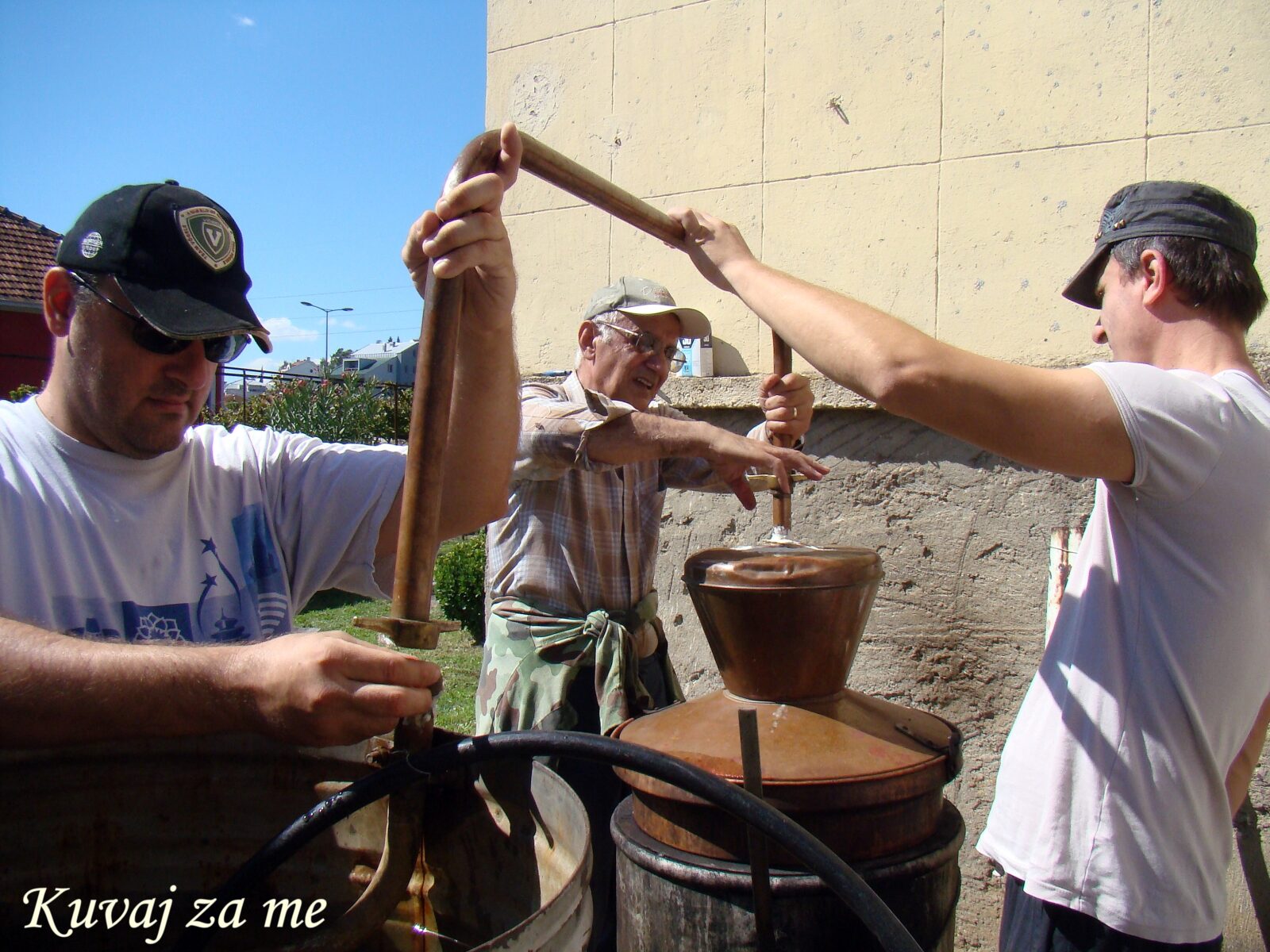 Domaća loza