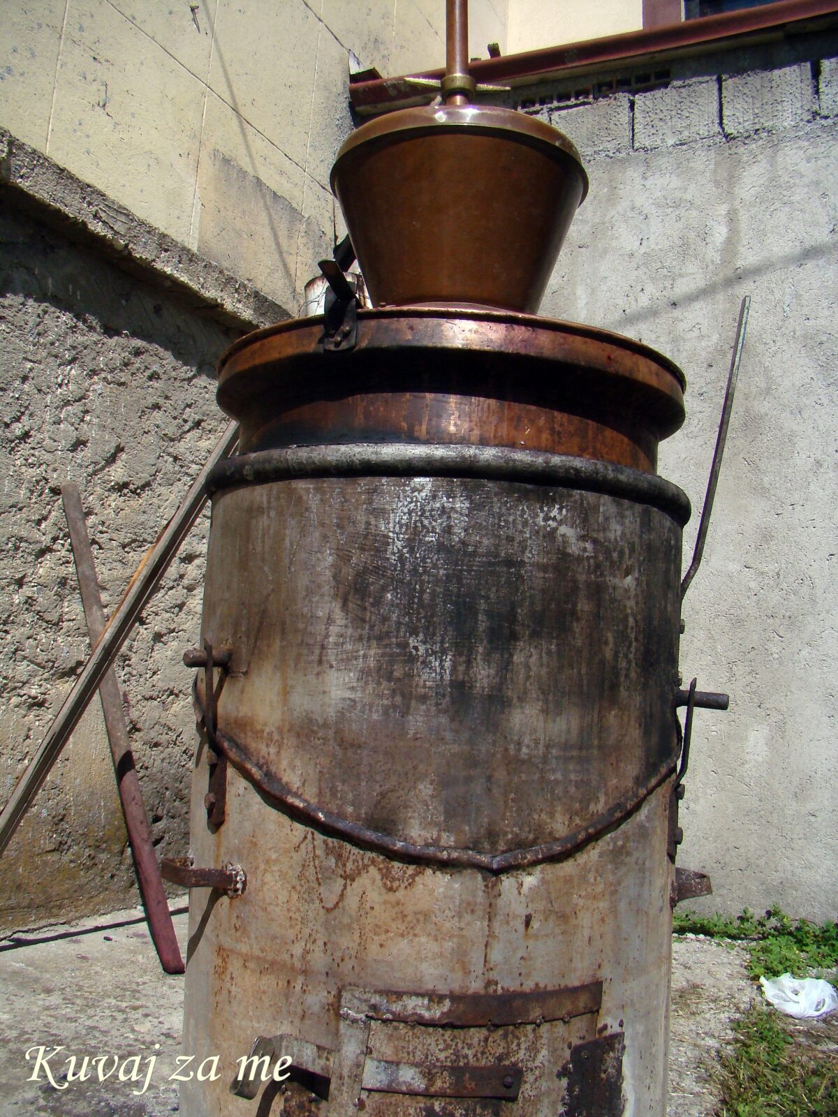 Domaća loza