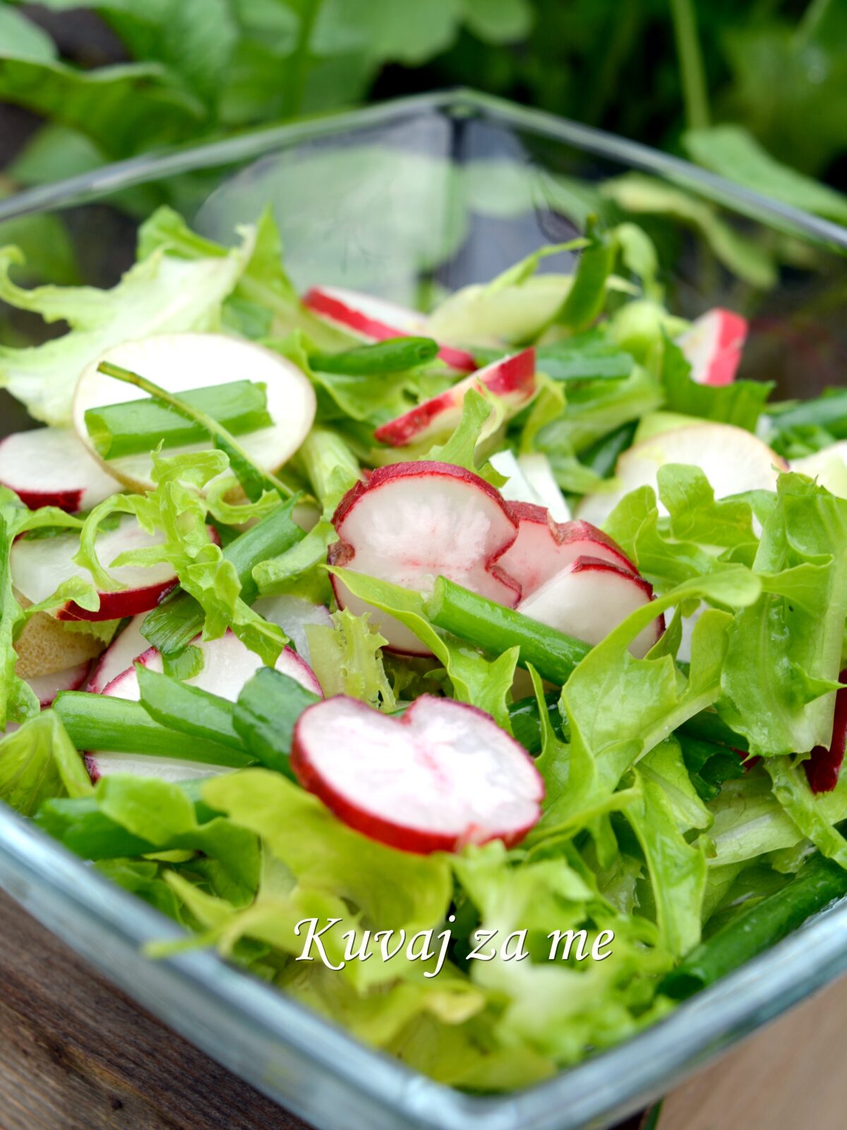 Salata od rotkvica