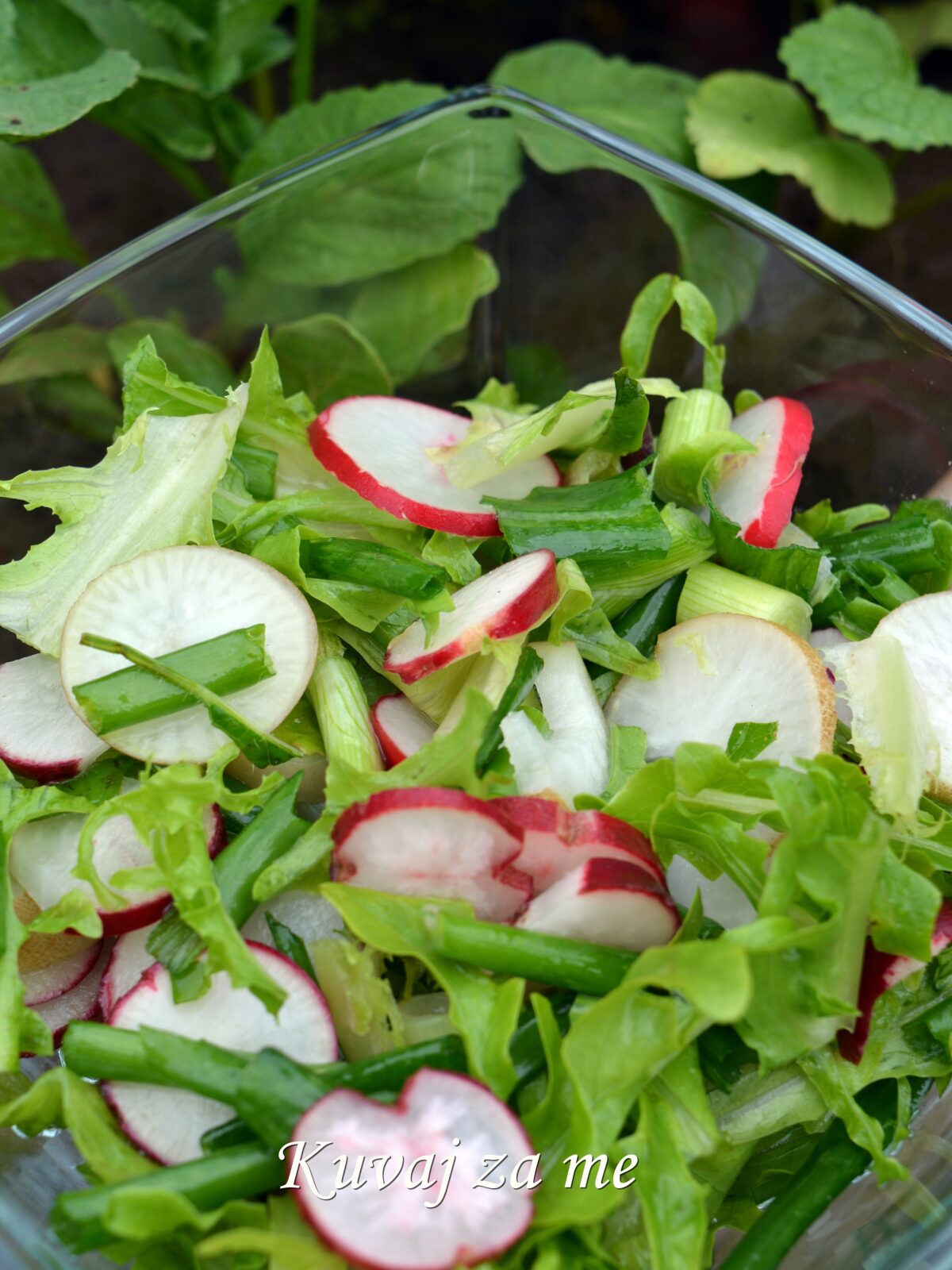 Salata od rotkvica
