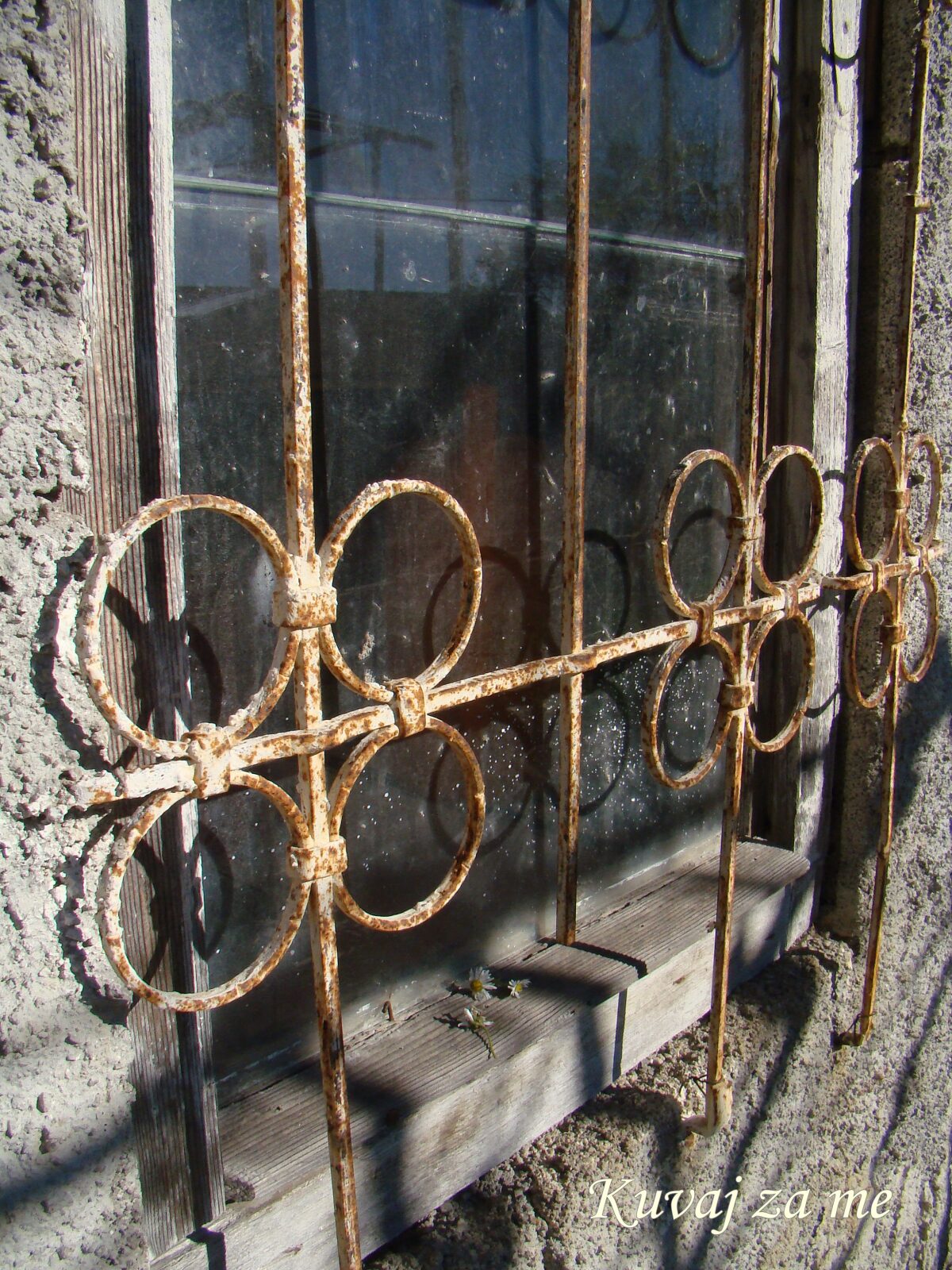 Domaće kobasice