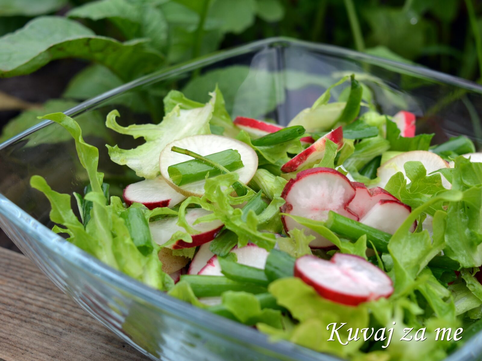 Salata od rotkvica
