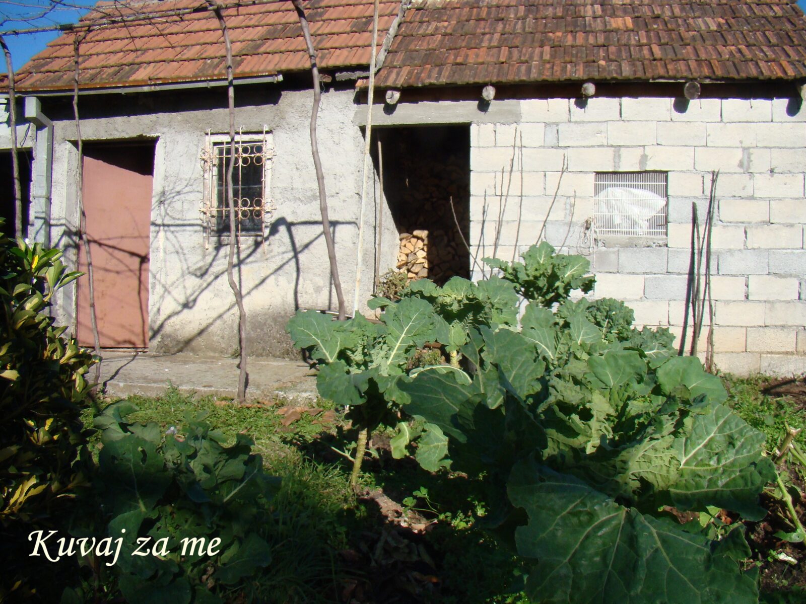 Domaće kobasice